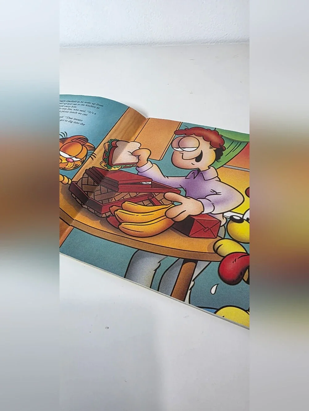 Vintage 1988 Garfield Picnic Adventure
